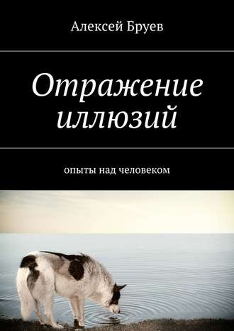 Алексей Бруев, Отражение иллюзий