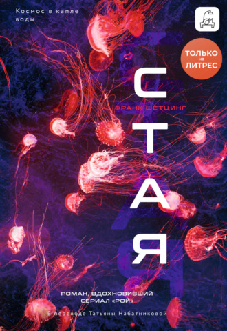 Стая Франк Шетцинг, Стая