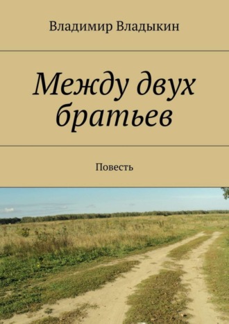 Владимир Владыкин, Между двух братьев