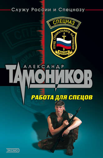Александр Тамоников, Работа для спецов