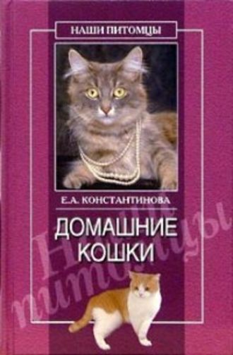 Екатерина Константинова, Домашние кошки