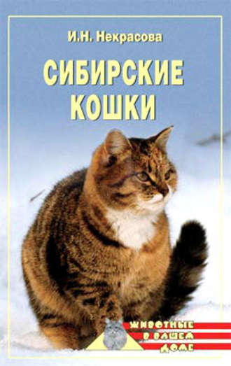 Ирина Некрасова, Сибирские кошки