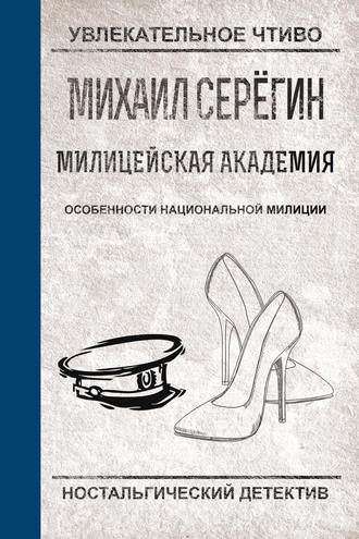 Михаил Серегин, Особенности национальной милиции