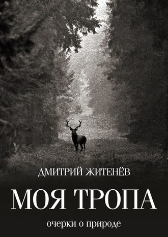 Дмитрий Житенёв, Моя тропа