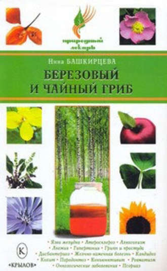 Нина Башкирцева, Березовый и чайный гриб