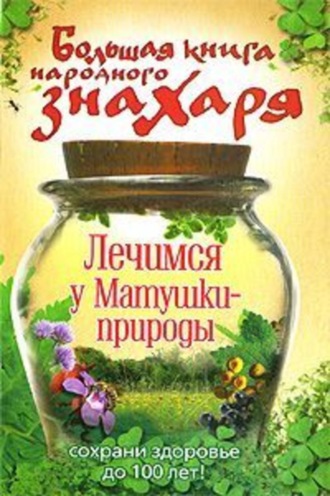 Андрей Моховой, Большая книга народного знахаря. Лечимся у Матушки-природы