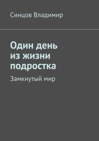 Владимир Синцов, Один день из жизни подростка. Замкнутый мир