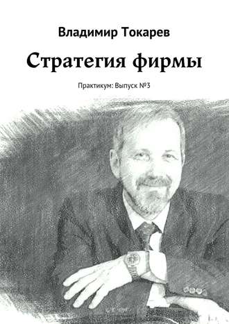 Стратегия фирмы. Практикум: Выпуск №3 Владимир Токарев, Стратегия фирмы. Практикум: Выпуск №3
