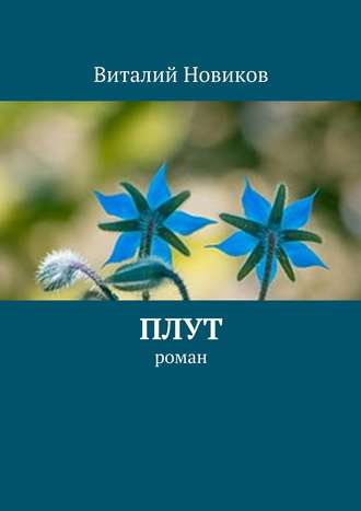 Виталий Новиков, Плут. роман