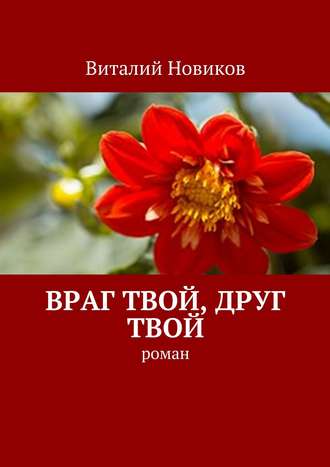 Виталий Новиков, Враг твой, друг твой. Роман