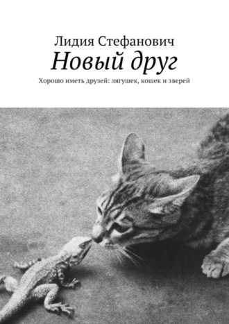 Новый друг. Хорошо иметь друзей: лягушек, кошек и зверей Лидия Стефанович, Новый друг. Хорошо иметь друзей: лягушек, кошек и зверей