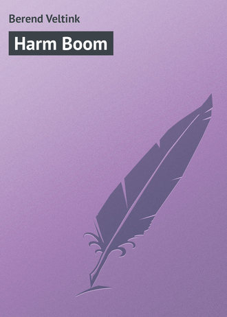 Berend Veltink, Harm Boom