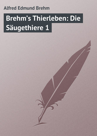 Alfred Edmund, Brehm’s Thierleben: Die Säugethiere 1