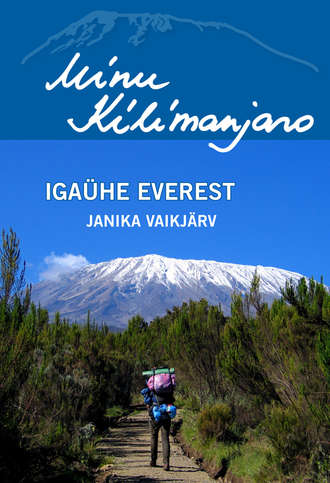 Janika Vaikjärv, Minu Kilimanjaro. Igaühe Everest