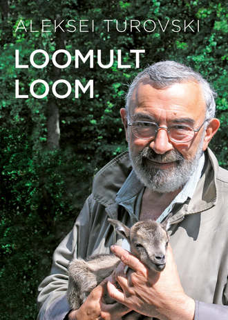 Aleksei Turovski, Loomult loom I