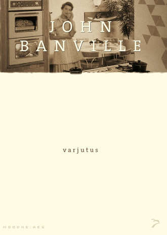 John Banville, Varjutus