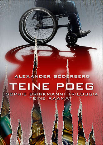 Alexander Söderberg, Teine poeg. Sophie Brinkmanni triloogia. Teine raamat