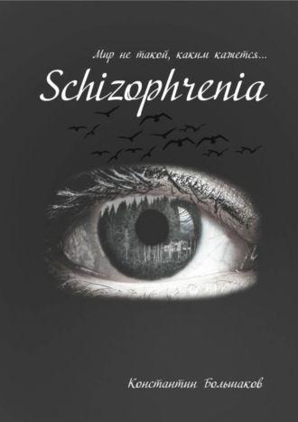 Константин Большаков, Schizophrenia. Мир не такой, каким кажется