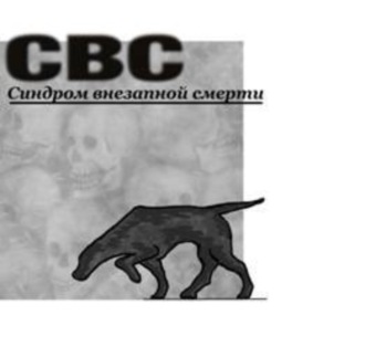 Бабулин Леонидович, СВС (Синдром Внезапной Смерти)