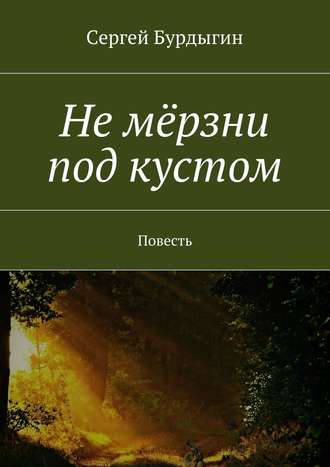 Сергей Бурдыгин, Не мёрзни под кустом. Повесть