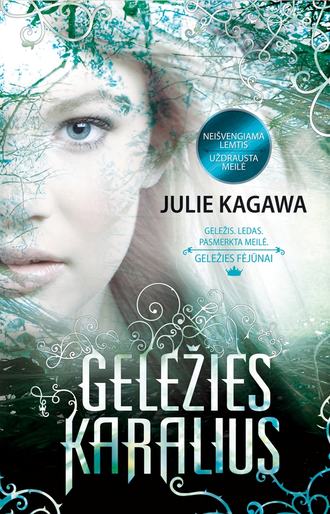 Julie Kagawa, Geležies karalius