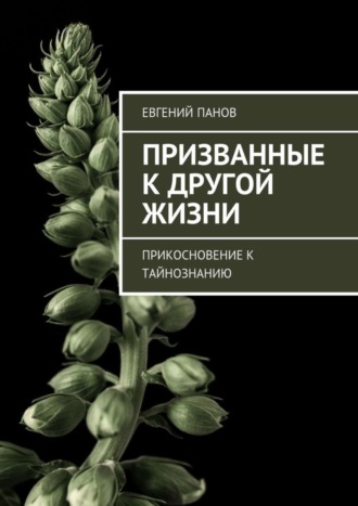 Призванные к другой жизни. Прикосновение к тайнознанию Евгений Панов, Призванные к другой жизни. Прикосновение к тайнознанию