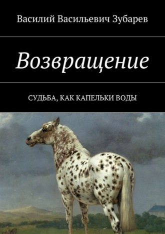 Василий Зубарев, Возвращение. Судьба, как капельки воды