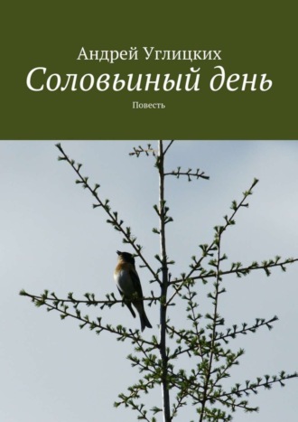 Андрей Углицких, Соловьиный день. Повесть