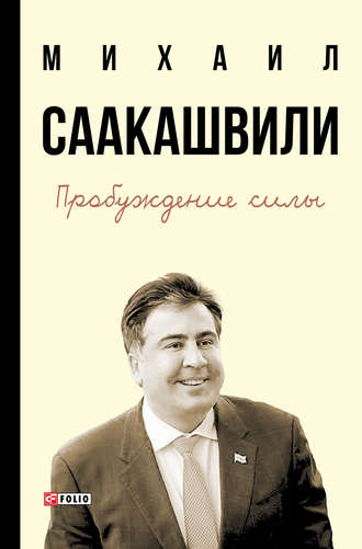 Михаил Саакашвили, Пробуждение силы. Уроки Грузии – для будущего Украины