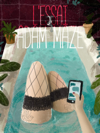 Adam Maze, l'essai