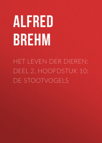 Alfred Brehm, Het Leven der Dieren: Deel 2, Hoofdstuk 10: De Stootvogels