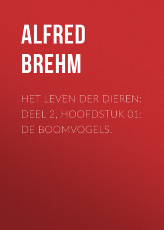 Alfred Brehm, Het Leven der Dieren: Deel 2, Hoofdstuk 01: De Boomvogels.