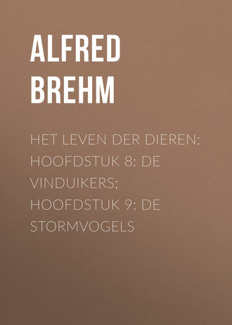 Alfred Brehm, Het Leven der Dieren: Hoofdstuk 8: De Vinduikers; Hoofdstuk 9: de Stormvogels