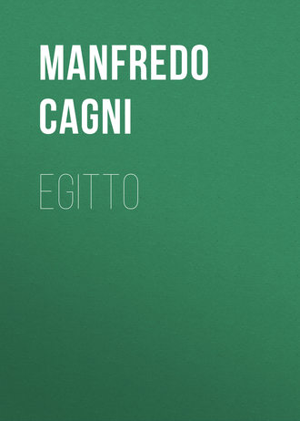 Manfredo Cagni, Egitto