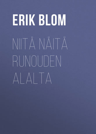 Erik Blom, Niitä näitä runouden alalta