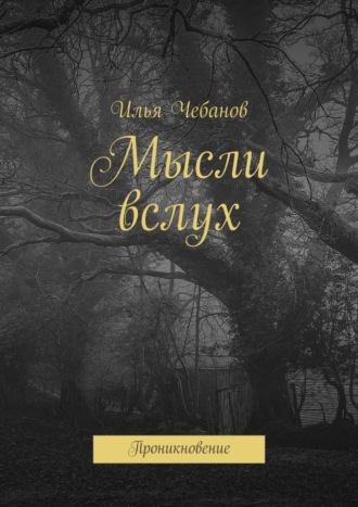 Илья Чебанов, Мысли вслух. Проникновение