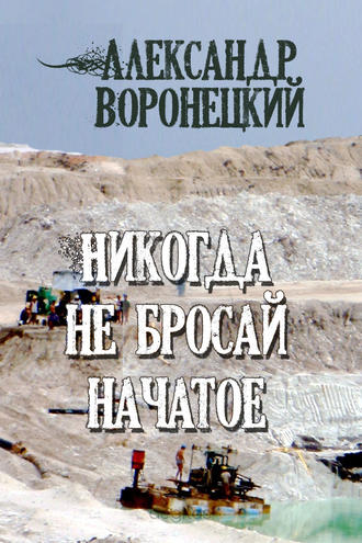 Александр Воронецкий, Никогда не бросай начатое