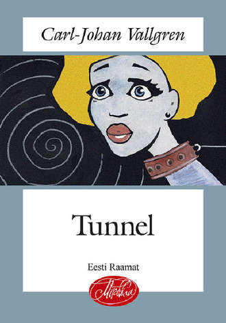 Carl-Johan Vallgren, Tunnel