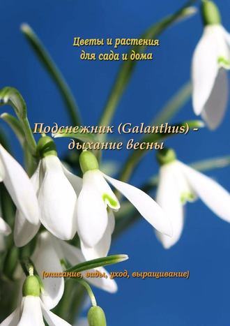 Федор Кольцов, Подснежник (Galanthus) – дыхание весны