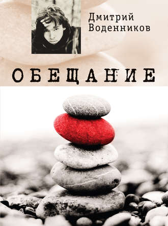Обещание Дмитрий Воденников, Обещание