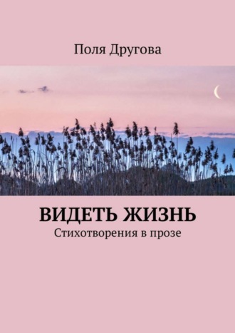 Поля Другова, Видеть жизнь. Стихотворения в прозе