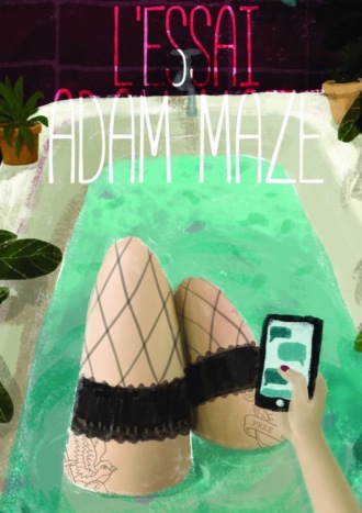 Adam Maze, l'essai