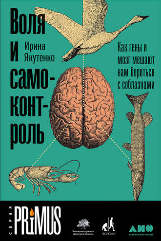 Ирина Якутенко, Воля и самоконтроль: Как гены и мозг мешают нам бороться с соблазнами