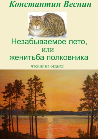 Константин Веснин, Незабываемое лето, или Женитьба полковника