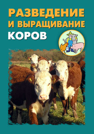 Илья Мельников, Александр Ханников, Разведение и выращивание коров