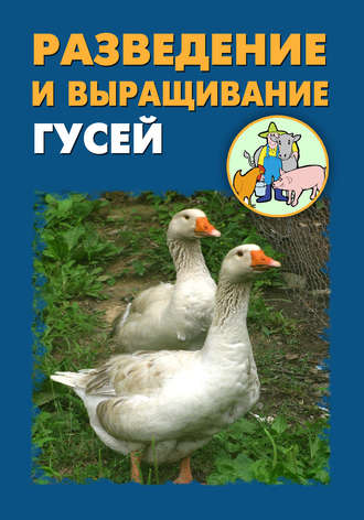 Илья Мельников, Александр Ханников, Разведение и выращивание гусей