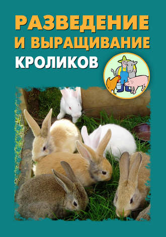 Илья Мельников, Александр Ханников, Разведение и выращивание кроликов