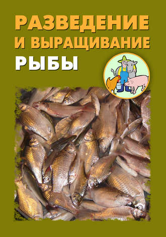 Илья Мельников, Александр Ханников, Разведение и выращивание рыбы