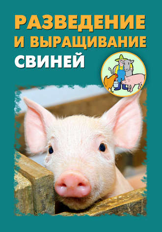 Илья Мельников, Александр Ханников, Разведение и выращивание свиней