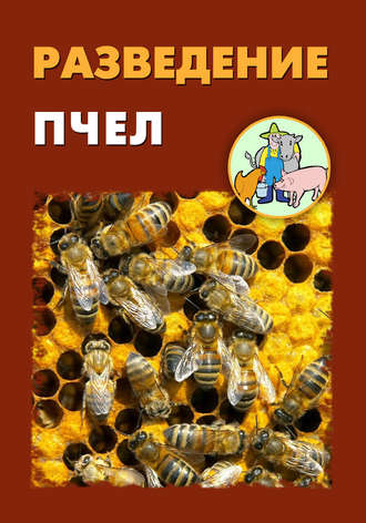 Илья Мельников, Александр Ханников, Разведение пчел